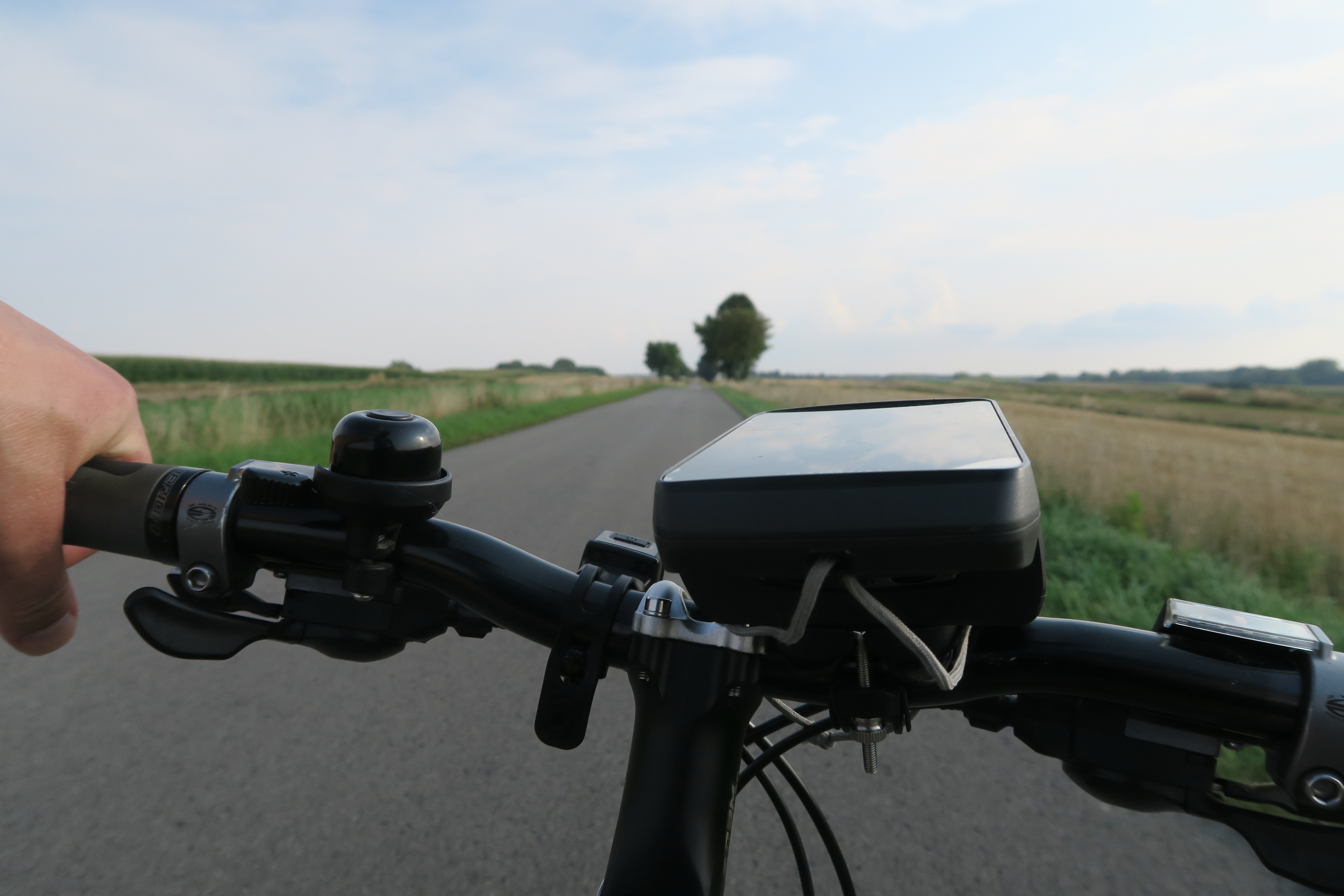 Rowerzysta jedzie cichą drogą wśród drzew